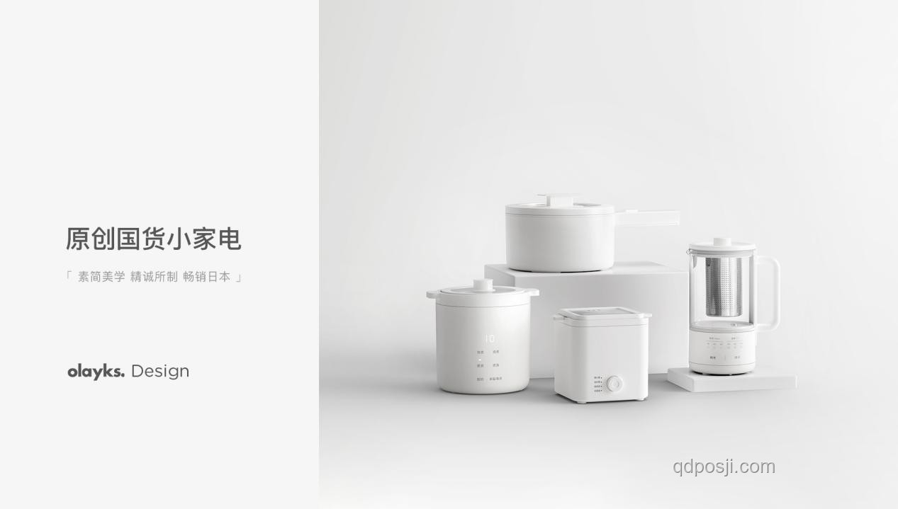 哪些國(guó)貨小家電精準(zhǔn)滿足你的特定需求？深度解析