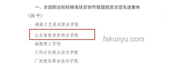 博士頭銜與非博士職業發展的對比分析