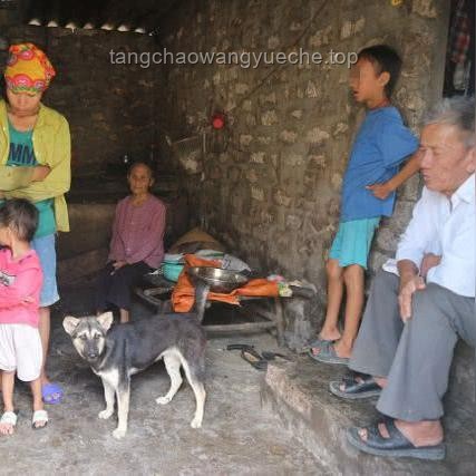 越南廢除“兩孩”生育限制，行業洞察與未來展望