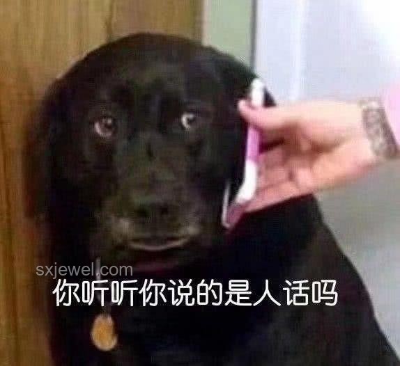 標題：狗吃屎的啟示：人生三大導師教會我的事??