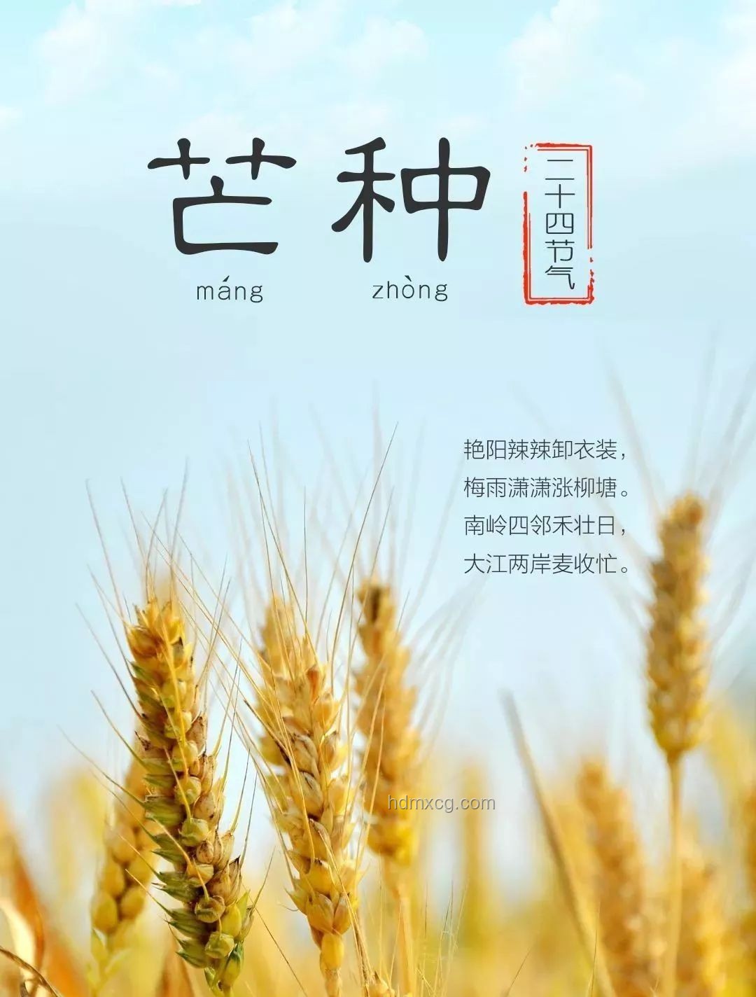 今日芒種，播種創新之種：跨界融合播種未來