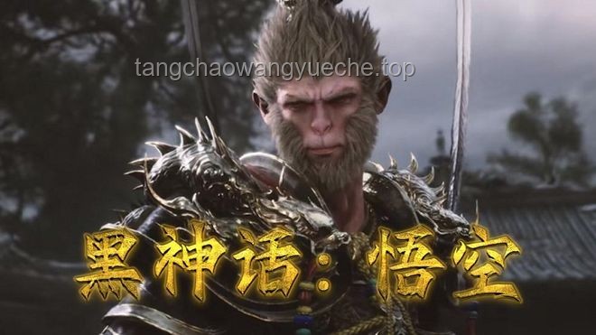 《黑神話：悟空》游戲評價案例研究