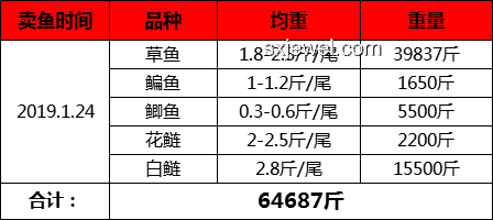 幸運食客中獎案例分析：男子吃面中66666元與常規消費對比