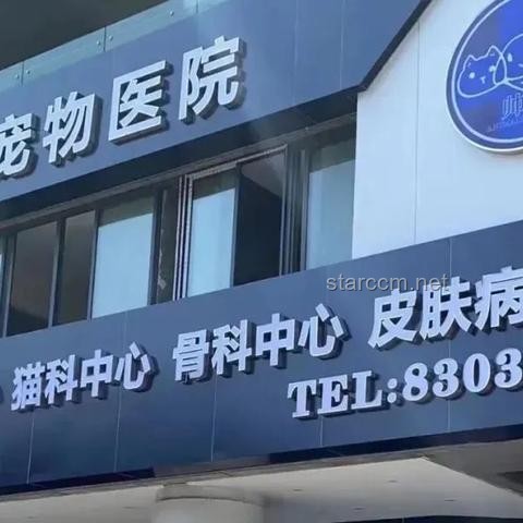 傳統寵物VS異寵：我國超1700萬人的養寵新選擇