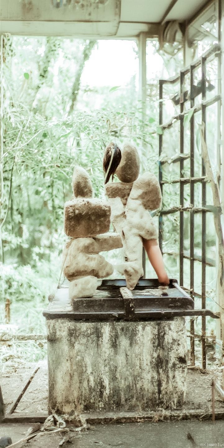謝娜《浪姐》總決賽連跳七首歌備戰(zhàn)指南