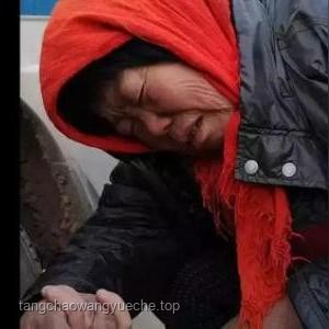 女網紅違停耍橫，跳上警車終被拘：一時沖動，終身教訓