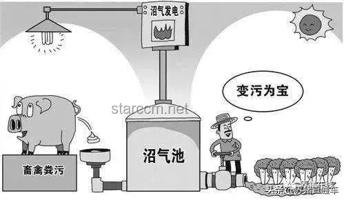 高考釘子戶的堅持：公共資源利用的新視角？