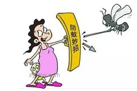 應對致命蟲咬：高峰期防護與應急處理