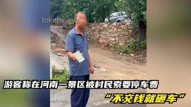 游客停車被打事件解析，當地官方如何回應