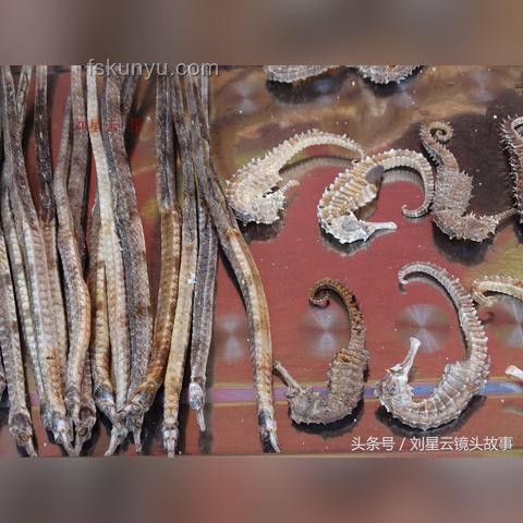 三亞被咬女子神經毒蛇咬傷案例研究