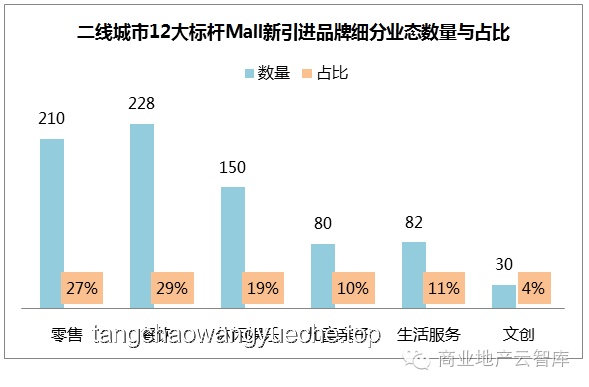 “蘇超”火爆現(xiàn)象深度解析：地域文化認(rèn)同與消費(fèi)增長新引擎