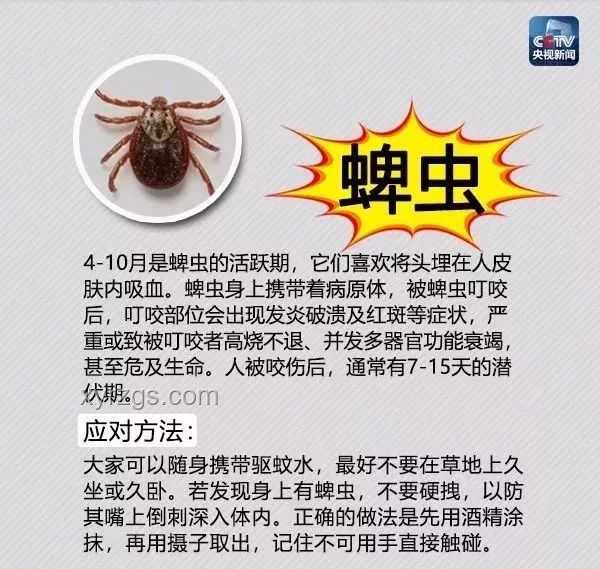 蟲患新解：智能預(yù)警系統(tǒng)，重塑防蟲新生態(tài)