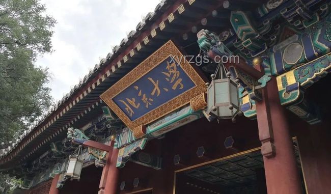 韋東奕粉絲數破2000萬案例研究