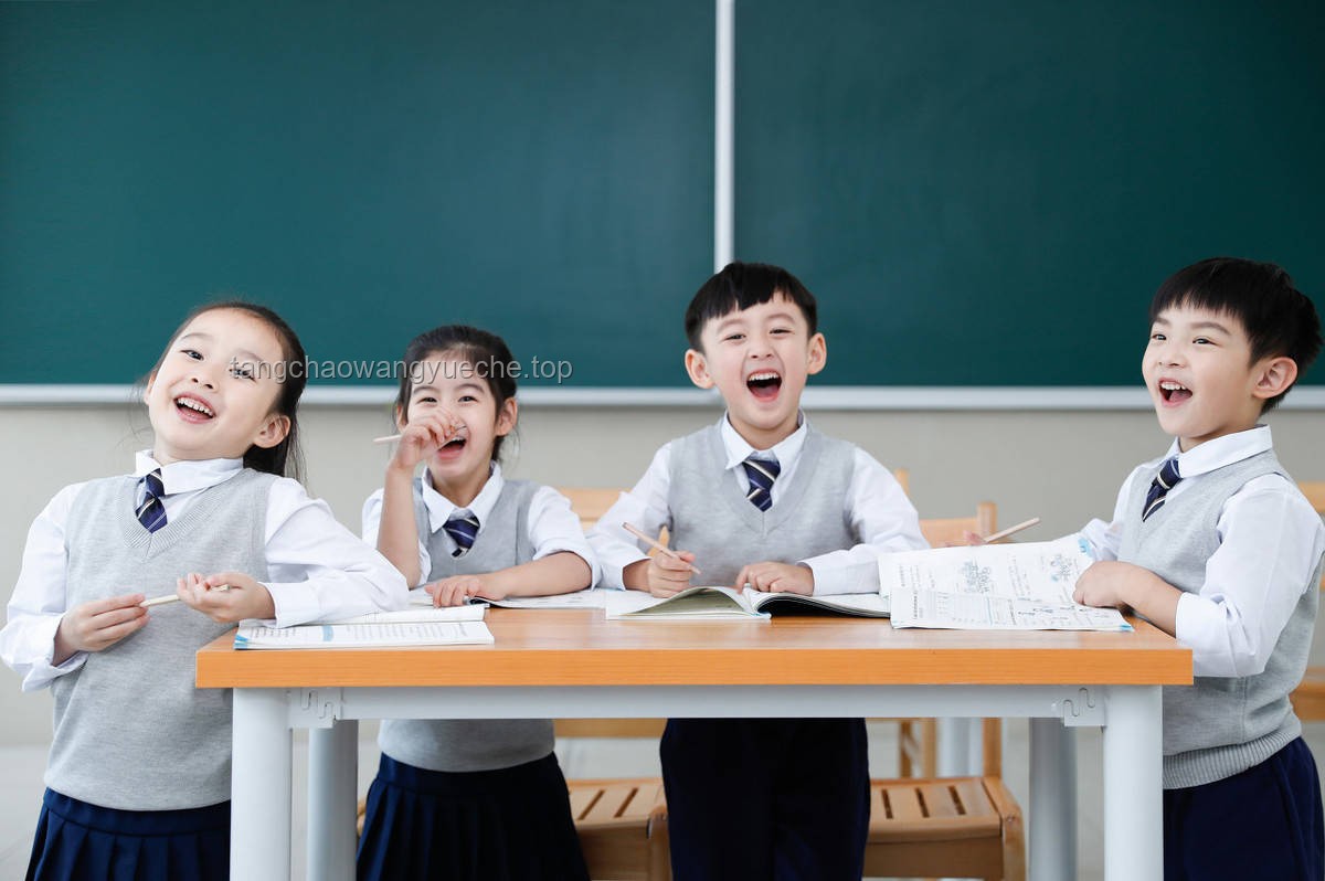 為什么幼兒園的超前教育被叫停？實用解析與應對指南