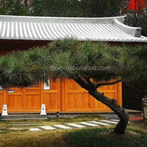 《黑神話：悟空》中的觀音禪院原型及建筑風(fēng)格探析