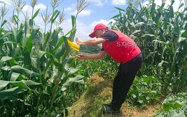 貴州玉米地深坑事件對行業的影響與洞察
