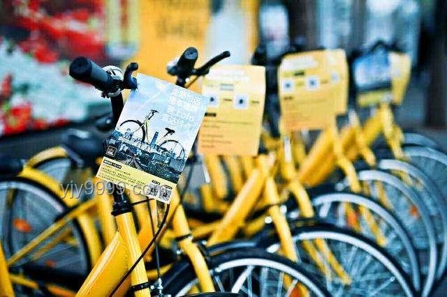 男孩多次騎走他人貴價自行車：行為動機與社會影響分析