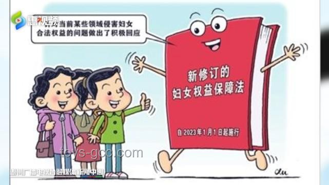 聰明女性的智慧法則：家庭隱私守護與行業洞察力