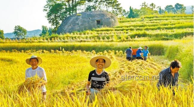 臨江仙畔，詩詞之旅的得與失