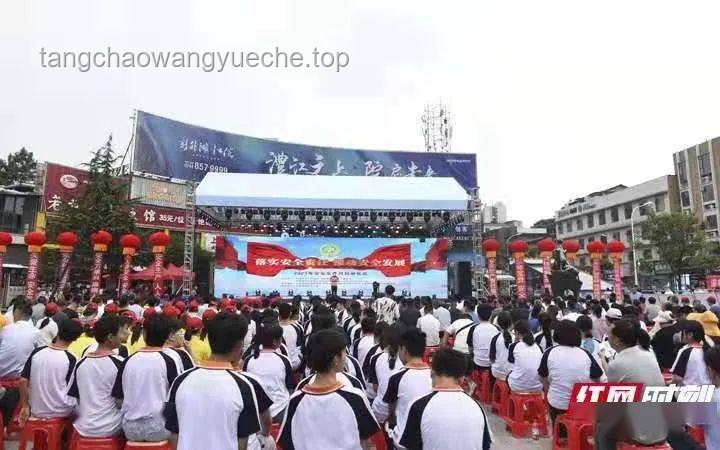 1米97小伙勇助警攔截嫌犯：安全高效行動指南