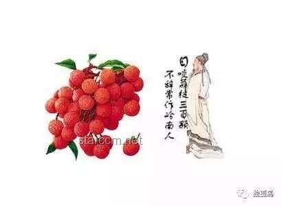 一騎紅塵妃子笑：荔枝背后的歷史、文化與行業(yè)趨勢