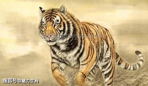 化龍未竟，創新思維“鯉”躍龍門
