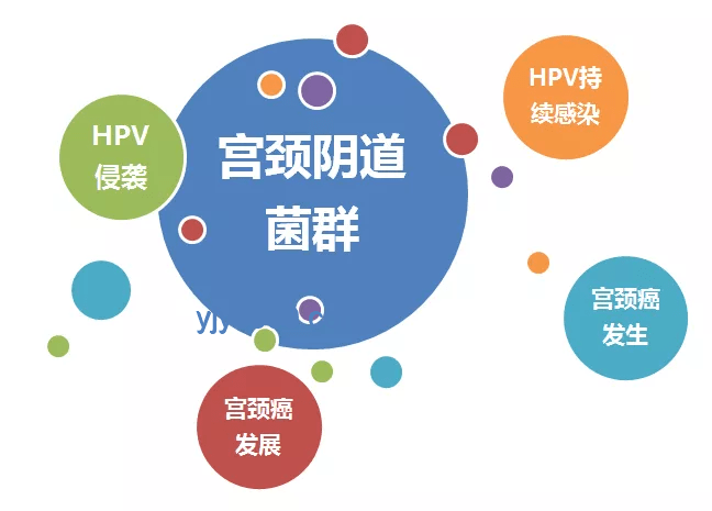 “韋神健康關切：緊急就醫呼吁的對比分析”