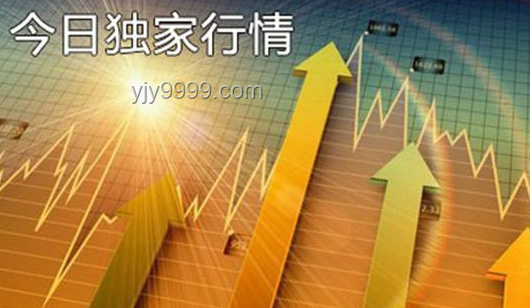 定格治愈系瞬間：未來出片神器趨勢預測