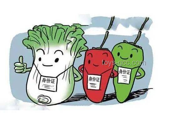 煮粽安全新趨勢：未開抽油煙機致中毒案例預警
