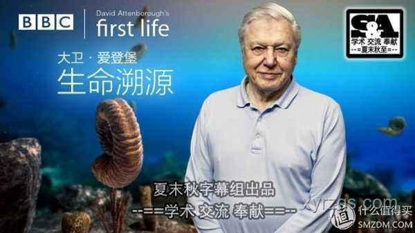你可能不認識我，但你一定看過我寫的故事：寫作指南