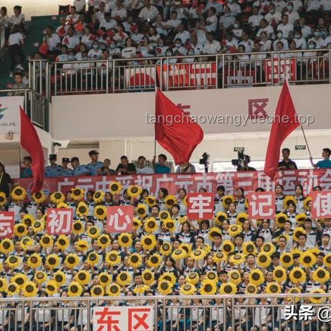 《反方向の扶貧》：逆向思維助力精準脫貧實戰指南