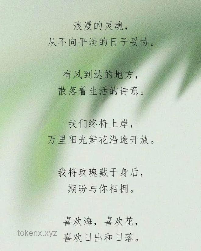 高端局情感博弈：“愛意隨風起，風止意難平”案例分析