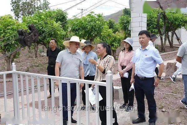 特朗普式防摔指南：安全登機小技巧
