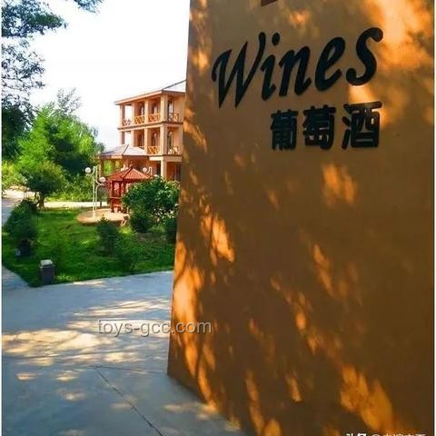 高考情感消費興起：燒烤花香背后家庭教育新趨勢