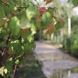 北大回應商家售賣未名湖湖水：維護校園資源與文化底蘊