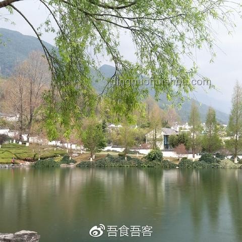 北大回應商家售賣未名湖湖水：維護校園資源與文化底蘊