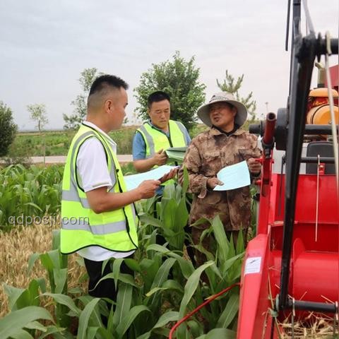 95后女農(nóng)機(jī)手與傳統(tǒng)麥?zhǔn)辗绞降某删透袑Ρ? title=