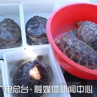 ??《歸環》首曝震撼，時間循環的魅力無限！