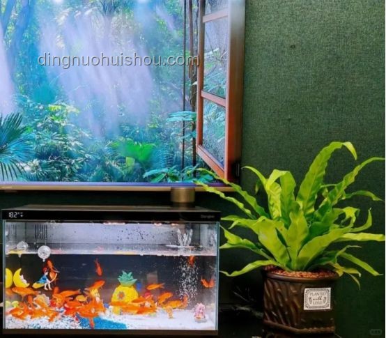 手工耿賽博養魚：跨界創新的生態魚缸革命