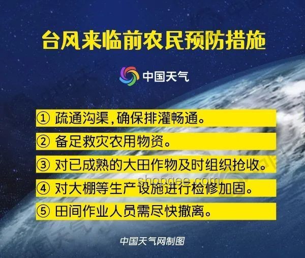 今年第1號臺風已生成：應對方案與預防措施