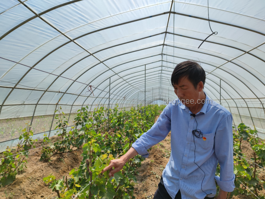 《反方向の扶貧》：逆向思維助力鄉村發展與自我提升指南