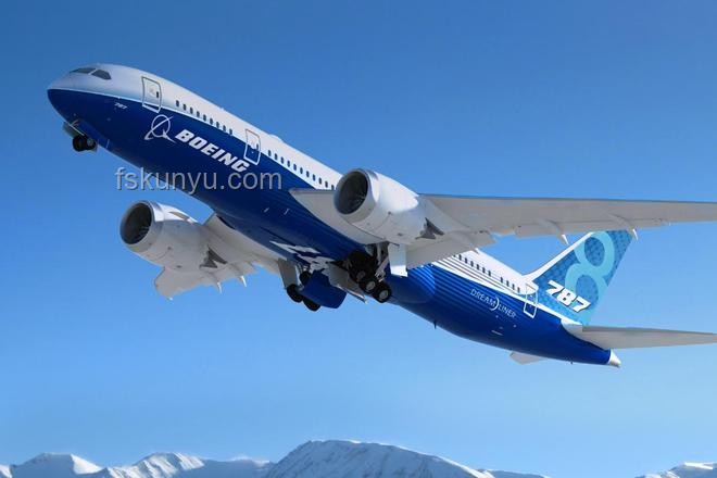 一架波音787客機印度墜毀事件應對指南