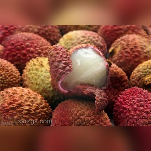 荔枝季節隱患：貪食致昏迷趨勢預警