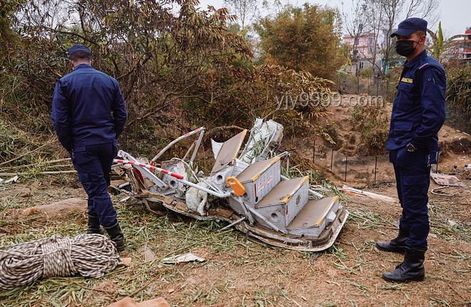 印度客機墜毀事件透視：鳥擊風險與行業挑戰