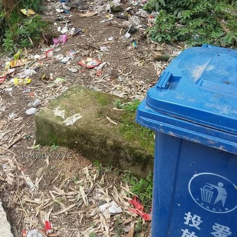 中國的垃圾真不夠燒了嗎？焚燒垃圾的好處與背后利益
