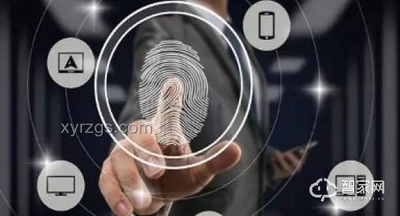 揭秘腳臭迷蹤：創新技術解鎖入戶大廳異味之謎
