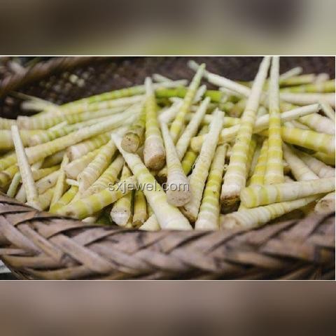 為什么感覺全世界只有中國會吃竹筍？全球食筍文化探索