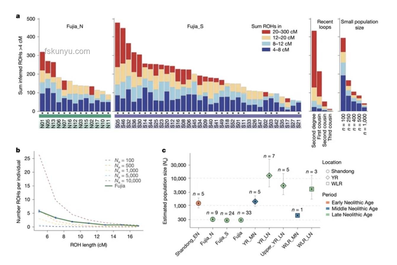 中國科學(xué)家首次確認(rèn)史前母系社會存在成果的重大意義分析