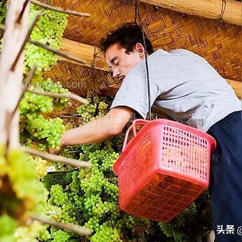 你以為很臟，其實很干凈VS你認為干凈，實則臟的生活習慣對比