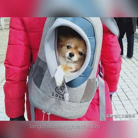 你以為很臟，其實很干凈的生活習慣指南